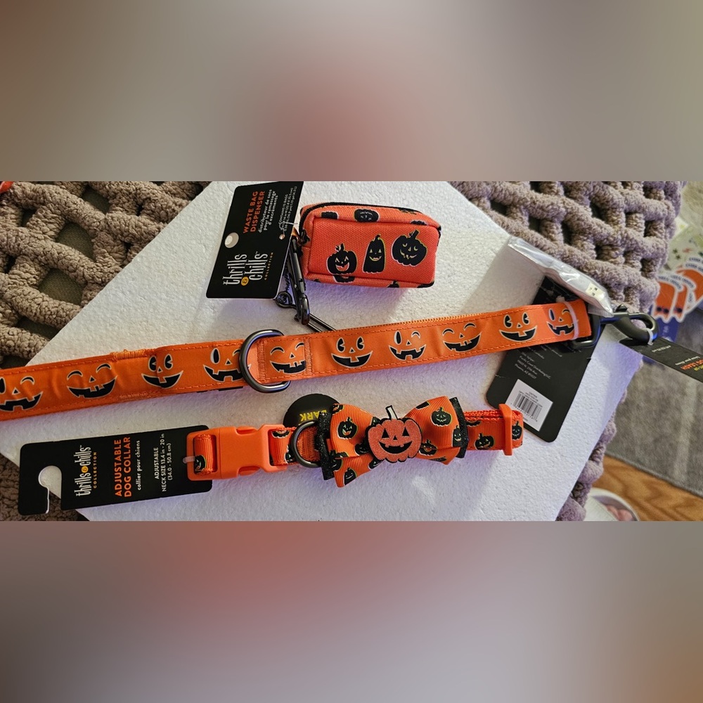 Thrills & Chills Creepy Pumpkin Light Up Leash, Collar & Poop Bag Holder (M)